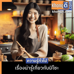 เรื่องน่ารู้เกี่ยวกับมิโซะ